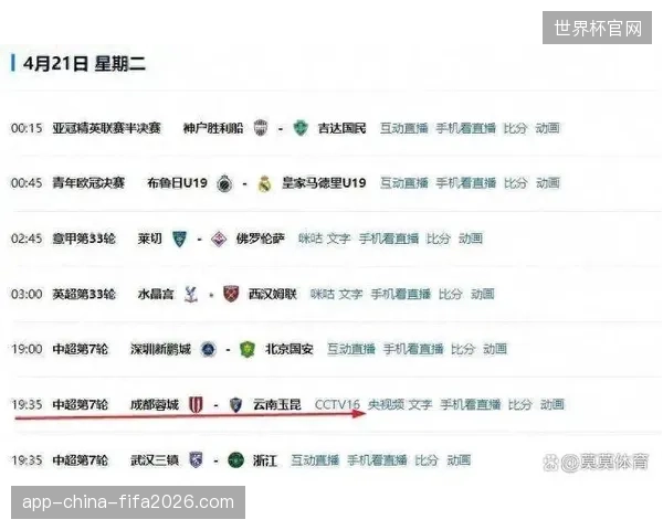 全球观赛用户中超四成通过转播平台锁定旅游服务，赛事服务市场细分加速